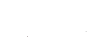 Petra Automation Company Logo